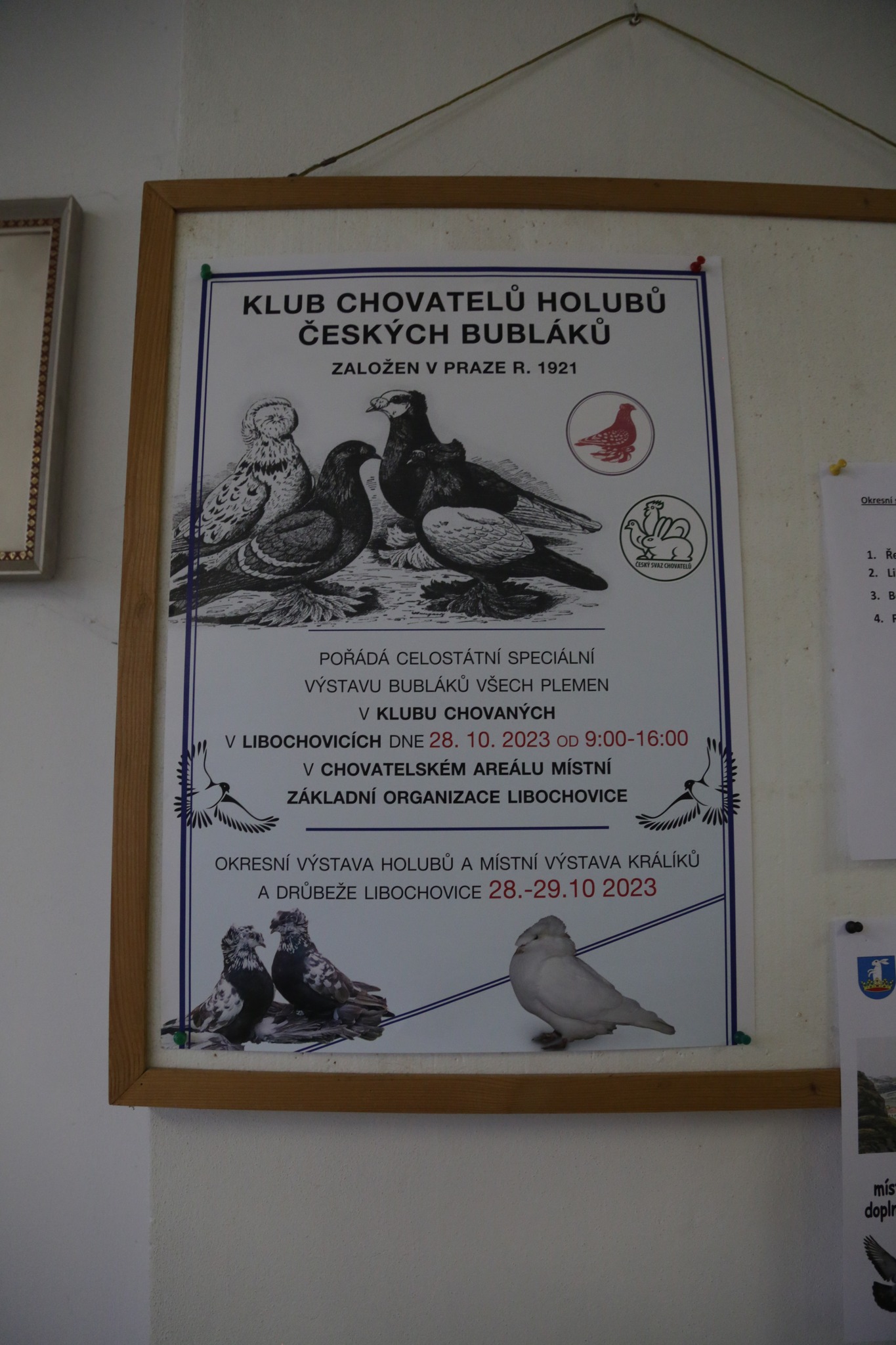 Libochovice 28.10.2023 (31)